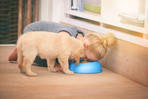 An adorable little girl sharing a bowl of food with her puppy at homehttp://195.154.178.81/DATA/i_collage/pi/shoots/783492.jpg